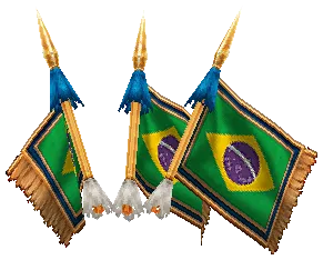 Brazilian Flag